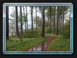Der alternative Weg an der Küste