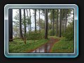 Der alternative Weg an der Küste