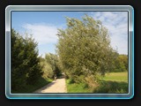 Gollwitz Weg zum Strand