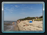 Schwarzer Busch der Strand
