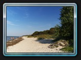 Schwarzer Busch der Strand