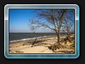 Gollwitzer Strand