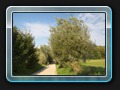 Gollwitz Weg zum Strand