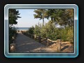 Schwarzer Busch Weg zum Strand