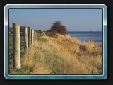 bei Brandenhusen