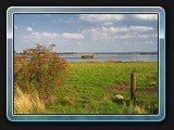 Blick über den Faulen See