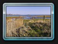 Blick auf den faulen See
