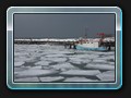 Timmendorfer Hafen im Eis