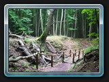 Der Rückweg