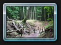 Der Rückweg