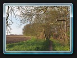 Der Weg am Krakower See