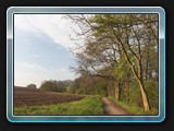 Der Weg am Krakower See