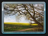 Der Wanderweg