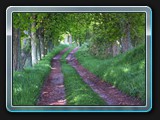 Kastanienallee vor Dobbin