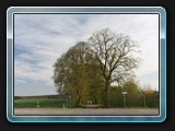 Überquerung der Landesstraße auf dem Weg nach Neu Dobbin