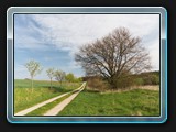 Weg nach Neu Dobbin