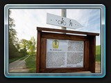 Infoschild zur Schäferbuche