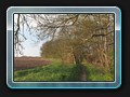 Der Weg am Krakower See