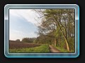 Der Weg am Krakower See