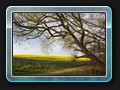 Der Wanderweg