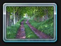 Kastanienallee vor Dobbin
