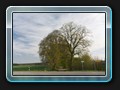 Überquerung der Landesstraße auf dem Weg nach Neu Dobbin