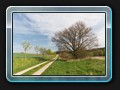 Weg nach Neu Dobbin