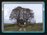 Zietlitzer Weg