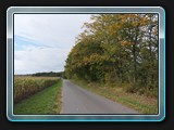 Straße nach Neu Dobbin