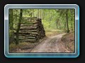 Zietlitzer Weg