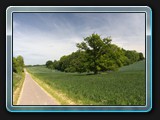 Fahrradweg  aus Richtung Blücherhof