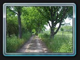Weg nach Neu Sapshagen
