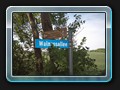 Eine Besonderheit des Weges: Die Wallnussallee bei Sophienhof