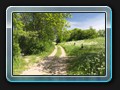 Weg am Flachen See