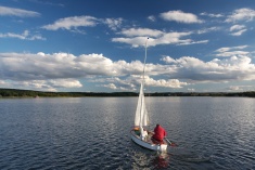 Abendsegler am Inselsee