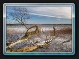 Am ersten Seezugang vom Güstrower Pfahlweg