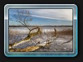 Am ersten Seezugang vom Güstrower Pfahlweg