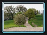 Weg von Rothspalk nach Krevtsee