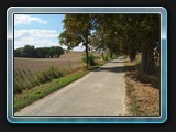 Allee nach Rothspalk
