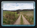Weg nach Carlsdorf