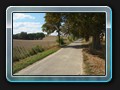 Allee nach Rothspalk