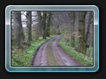 Weg nach Carlsdorf im Frühling