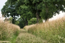 Weg nach Laase