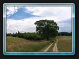  Der Weg nach Groß Labenz