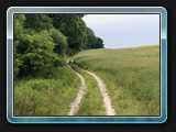 Weg nach Groß Labenz