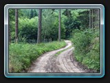 Der Waldweg nach Eickelberg