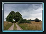 Weg nach Laase