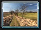 Der Rückweg nach Mieckow, das Ende der Wanderung.
