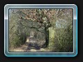 Schöner Weg hinter der Überquerung der Appelhäger Chaussee.