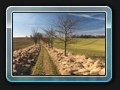 Der Rückweg nach Mieckow, das Ende der Wanderung.